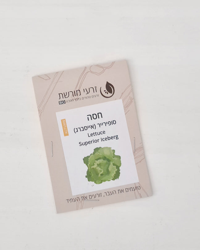 חסה אייסברג סופרייר