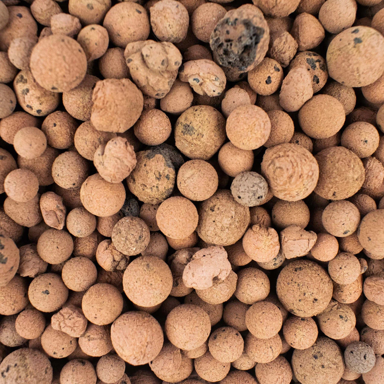 כדוריות ליקה 3 ליטר