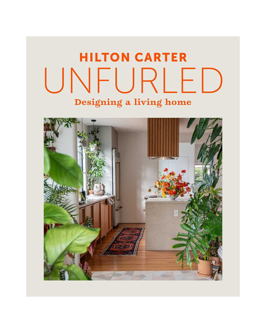 גילוי חדש - עיצוב בית מלא חיים