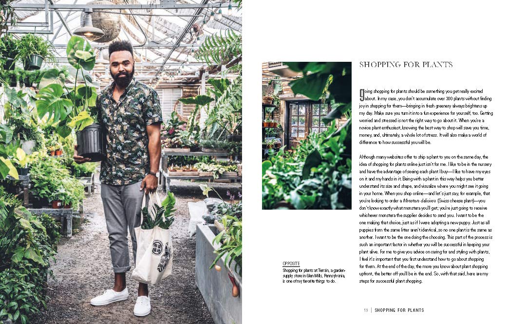 פראי בבית: איך לעצב ולטפל בצמחים יפים