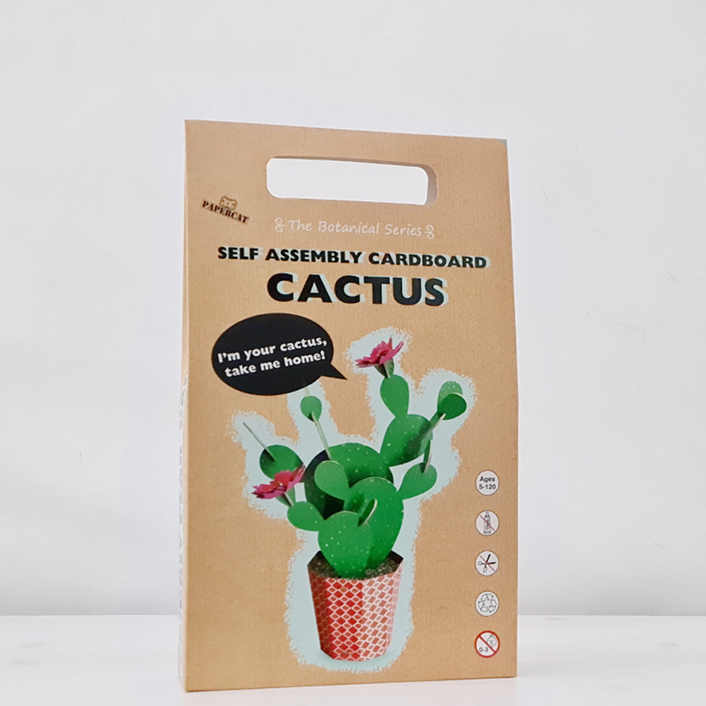 Self Assembly Cardboard Cactus - Prickly Pear