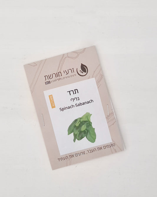 תרד גלילי