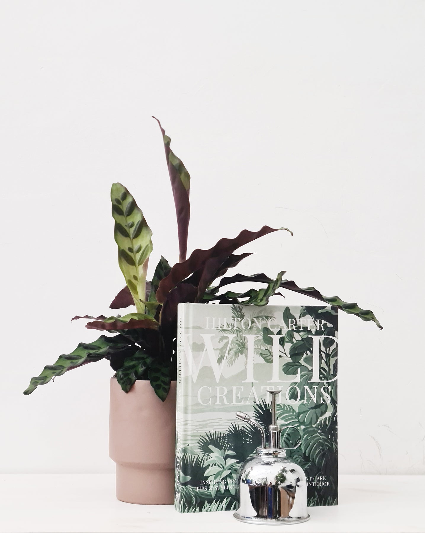 מארז טבעי יוקרתי