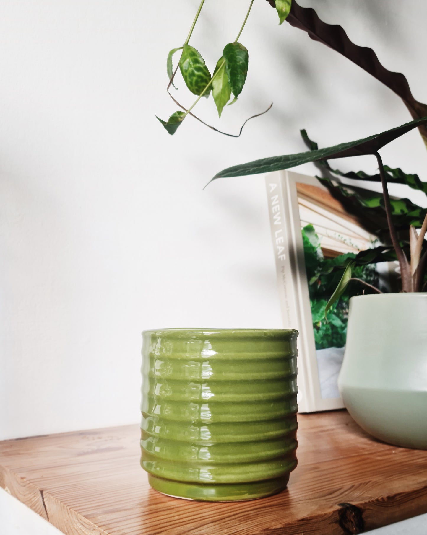 כלי קרמיקה ירוק דור