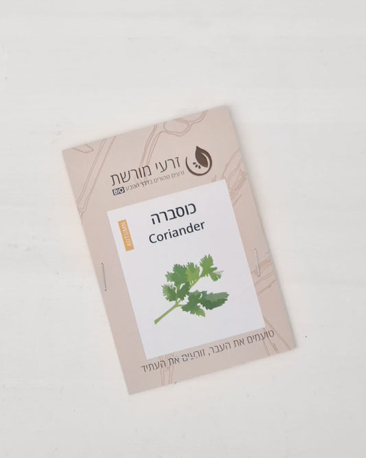 כוסברה