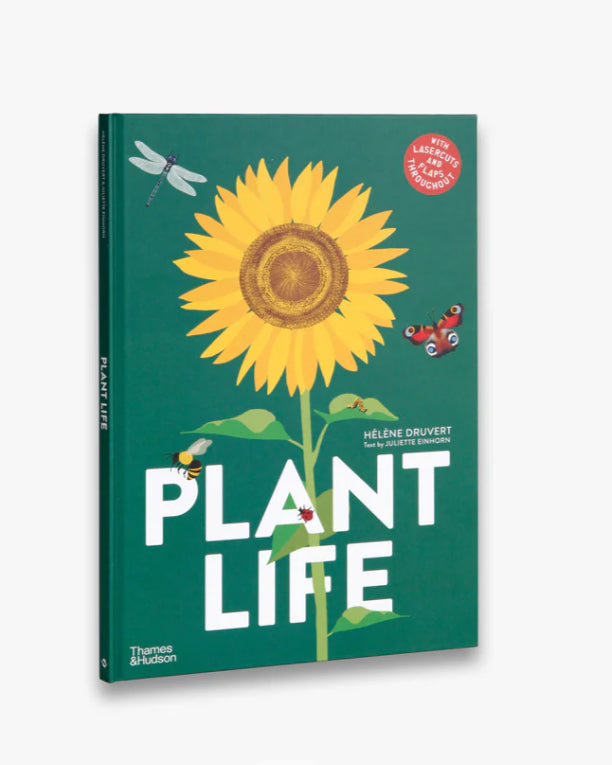 חיים עם צמחים