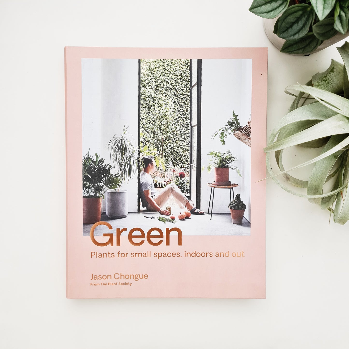 Green: Plants for small spaces, indoors and out