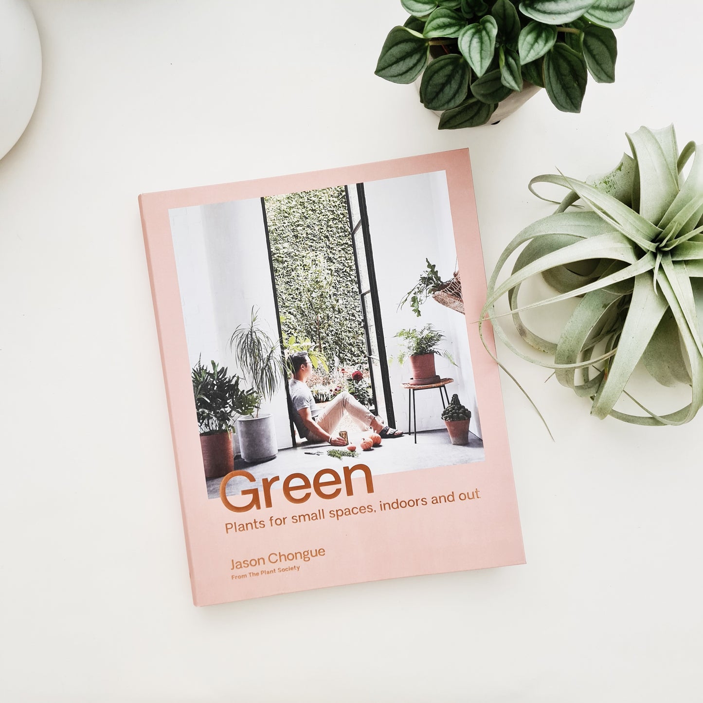 Green: Plants for small spaces, indoors and out