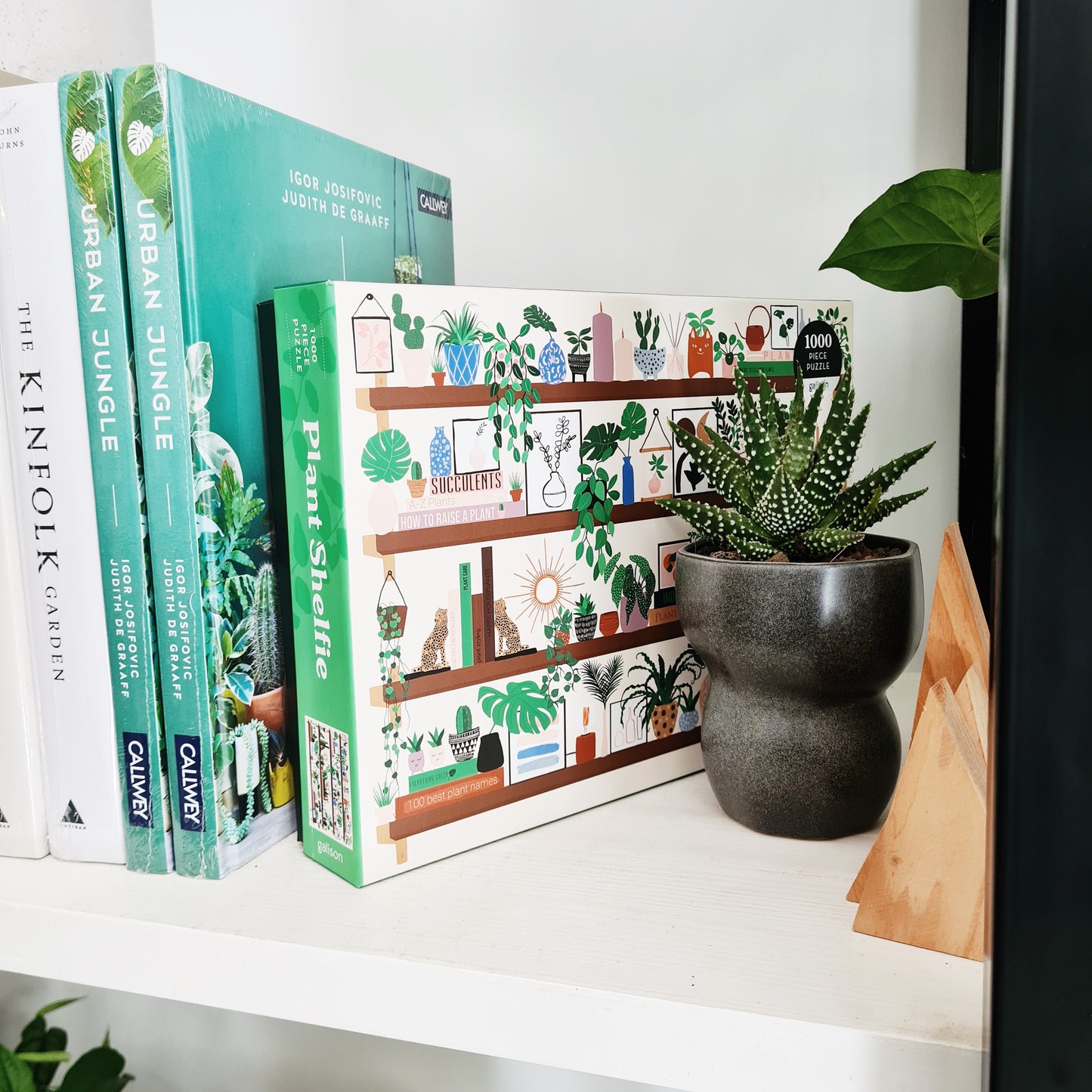 Plant Shelfie 1000 Piece Puzzle