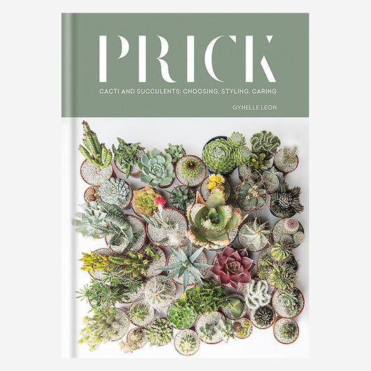 Prick: Cacti and Succulents: Choosing, Styling, Caring