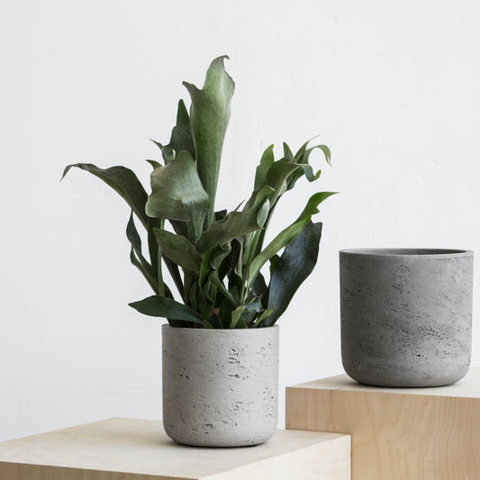 Stony Concrete Pot