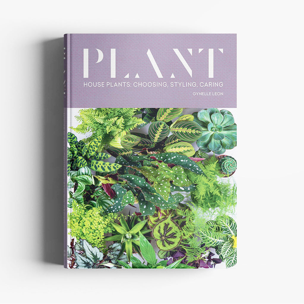 Plant: House Plants: Choosing, Styling, Caring