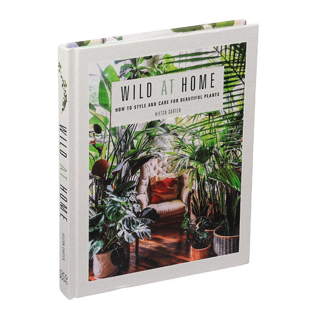 Wild at Home: How to style and care for beautiful plants