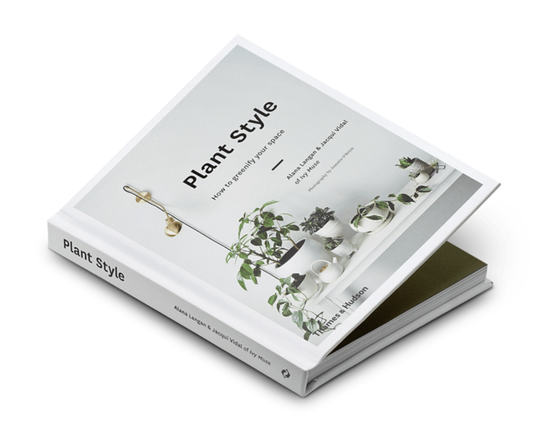 Plant Style - How to Greenify Your Space